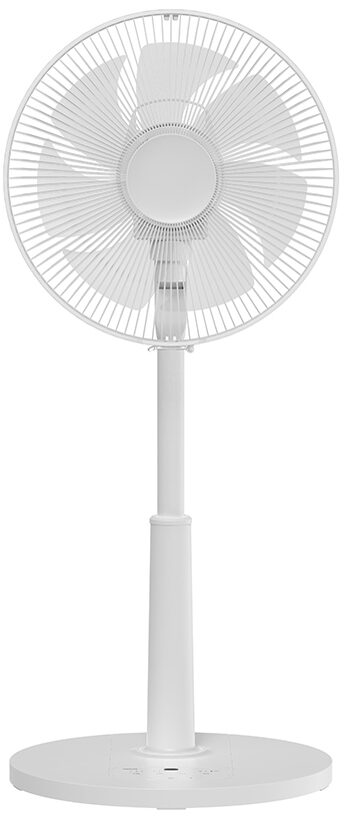 RLX-CP030